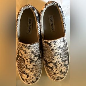 Steve Madden, Gills, size 8, women slip on sneakers, snake 🐍 print